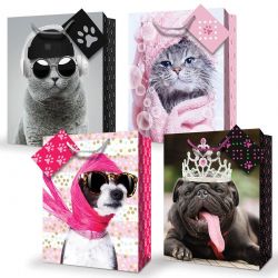 SAC CADEAU MOYEN - CHIEN OU CHAT ASST